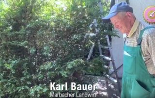 Bauer Karl Bauer