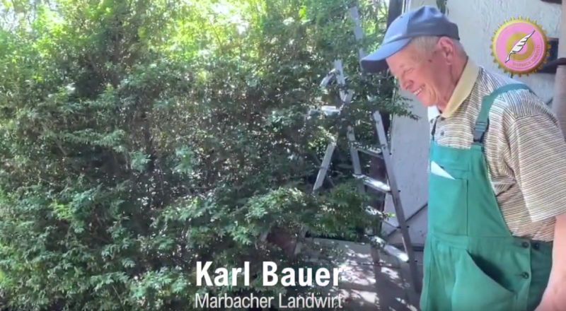 Bauer Karl Bauer