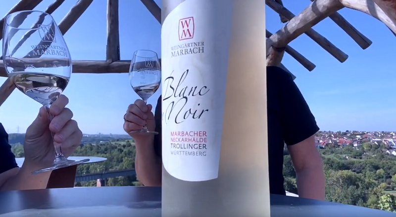 Mit den Marbacher Weingärtnern zur Lese