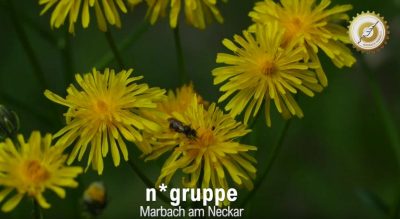 Natürlich Marbach, die n*gruppe