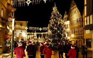 NiklasRUN-Parade 2026 · Stadtmarketing Schillerstadt Marbach · Foto: Florian Gerlach
